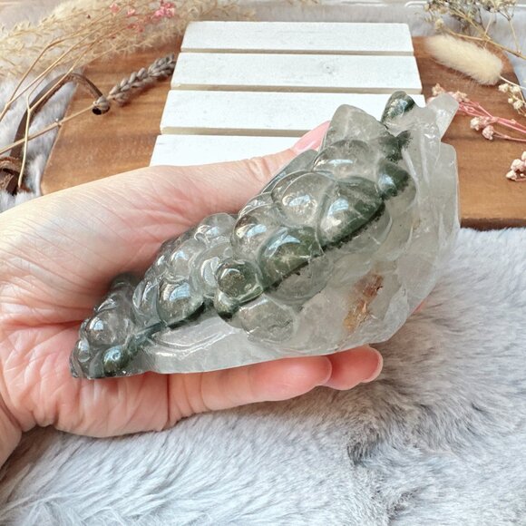 Gorgeous Lodalite Money Toad | Money Frog - Picture 9 of 12